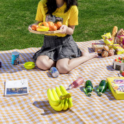 밴프 피크닉매트